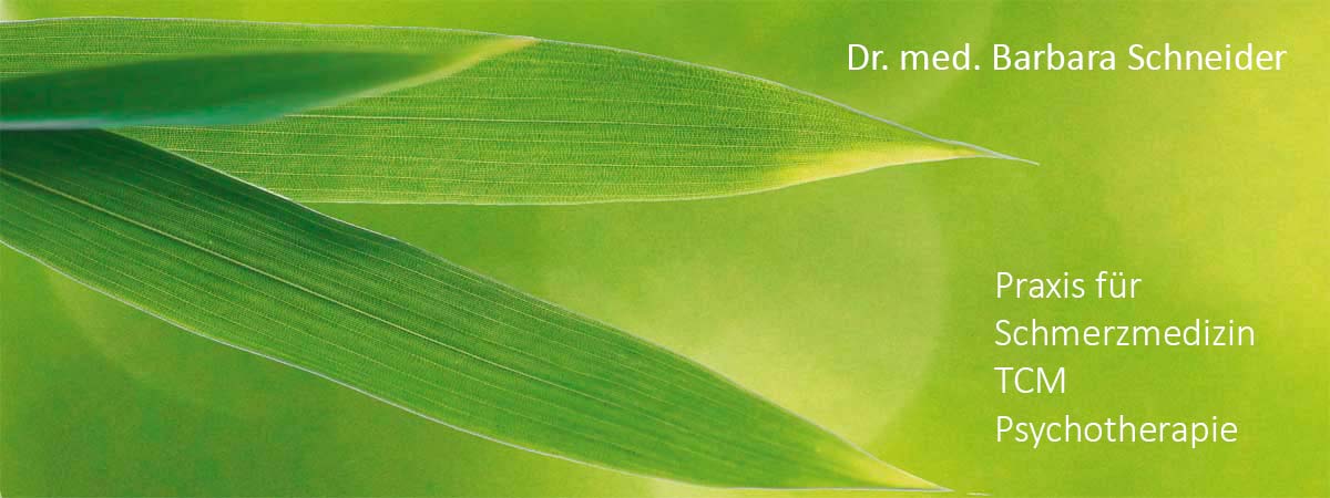 Logo mit grünem Bambus. Dr. Barbara Schneider, Schmerzmedizin, Traditionelle Chinesische Medizin und Psychotherapie.